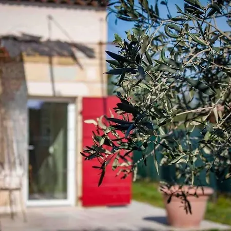 Mazet En Provence Dans Propriete Equestre Holiday home Graveson