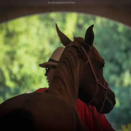 Mazet En Provence Dans Propriete Equestre Holiday home *